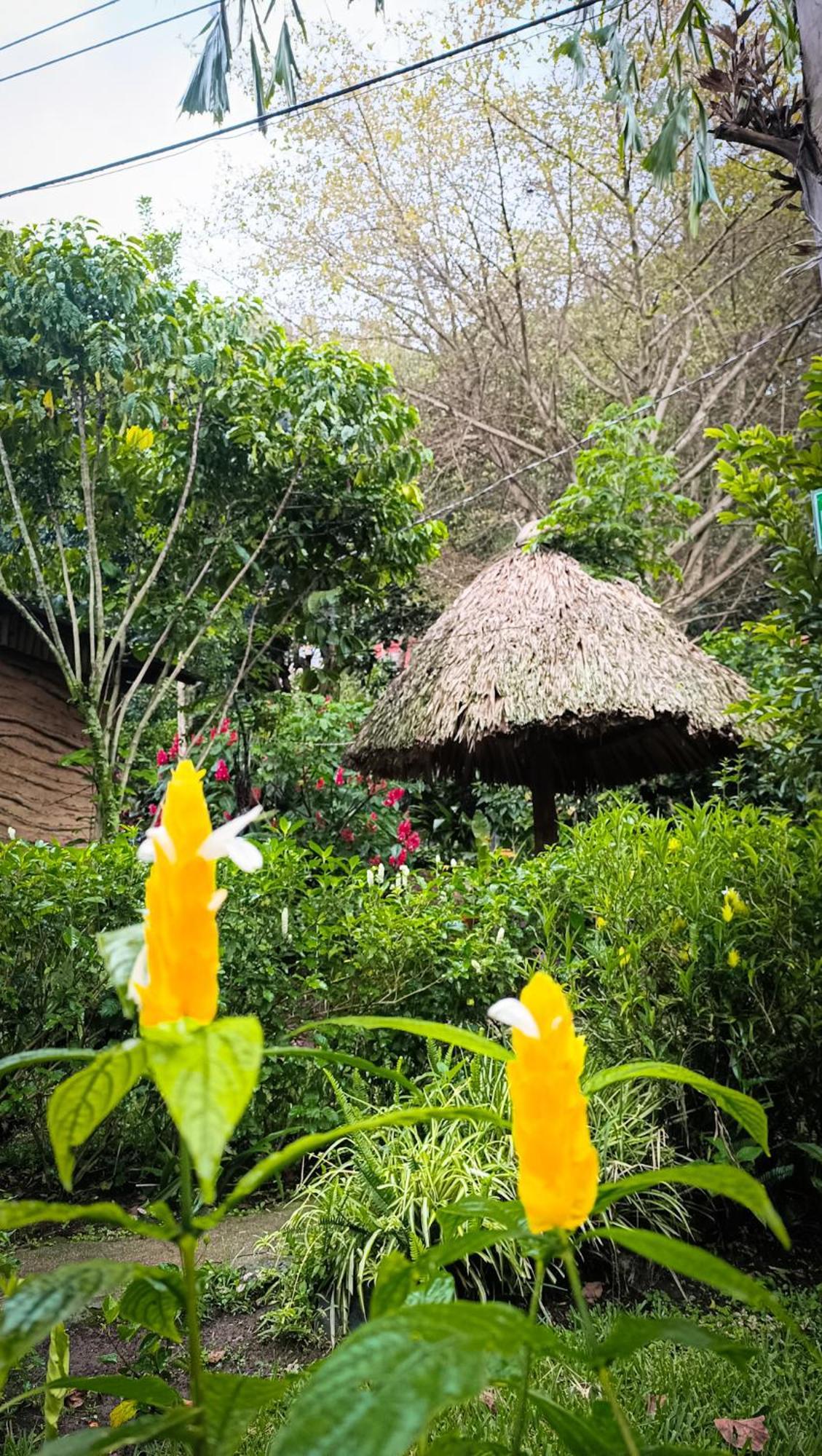Eco-Hotel Mayachik San Juan La Laguna Bagian luar foto